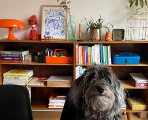 Therapiehond i.o Tedje