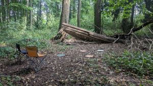 Ik werk graag in beweging en in de natuur